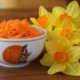 Der beste Karottensalat der Welt|Karottensalat|Möhrensalat|Gelbe Rüben Salat|Karotten|Möhren|Gelbe Rüben|Einfach|Einfacher Karottensalat|Einfacher Möhrensalat|Rohkost|industriezuckerfrei|zuckerfrei|rohvegan|vegan