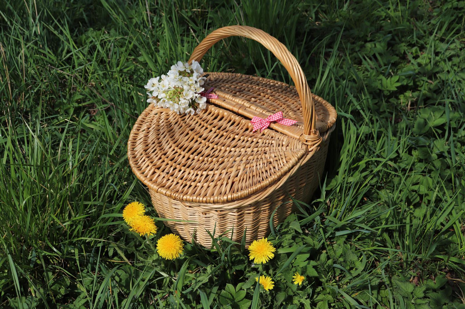 Kirschblütenpicknick|Kirschblüte|Kirschblüte feiern|Picknick|Picknickliebe|den Frühling feiern|Frühling|Kirschanbaugebiet|Franken|Fränkische Schweiz|Rituale|Frühlingsritual