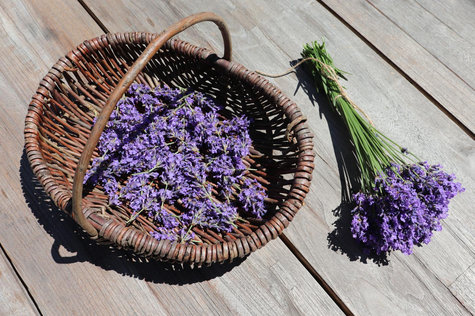 Lavendelöl|Lavendel-Salzpeeling| Lavendel-Saunasalz|Saunasalz|Lavendel|Lavandin|Naturkosmetik|DIY