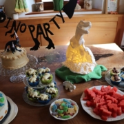Dinoparty|Dinosaurierparty|Dino-Kindergeburtstag|Dinosauriergeburtstag|Kindergeburtstag|Dinosaurier|Dinos|Kinderfest|Kindergeburtstage feiern