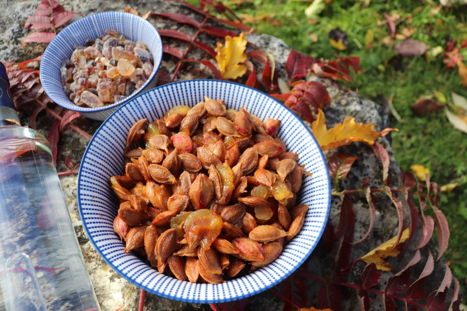 Falscher Amaretto aus Zwetschgenkernen – Utas Glück