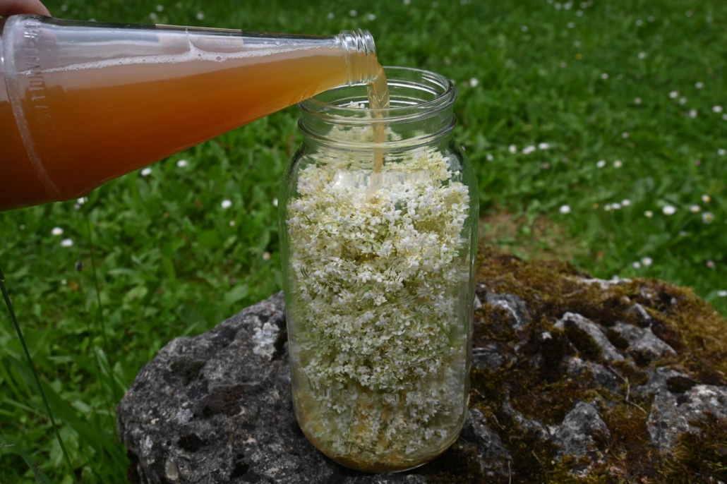 Apfel-Holunderblüten-Gelée – Utas Glück
