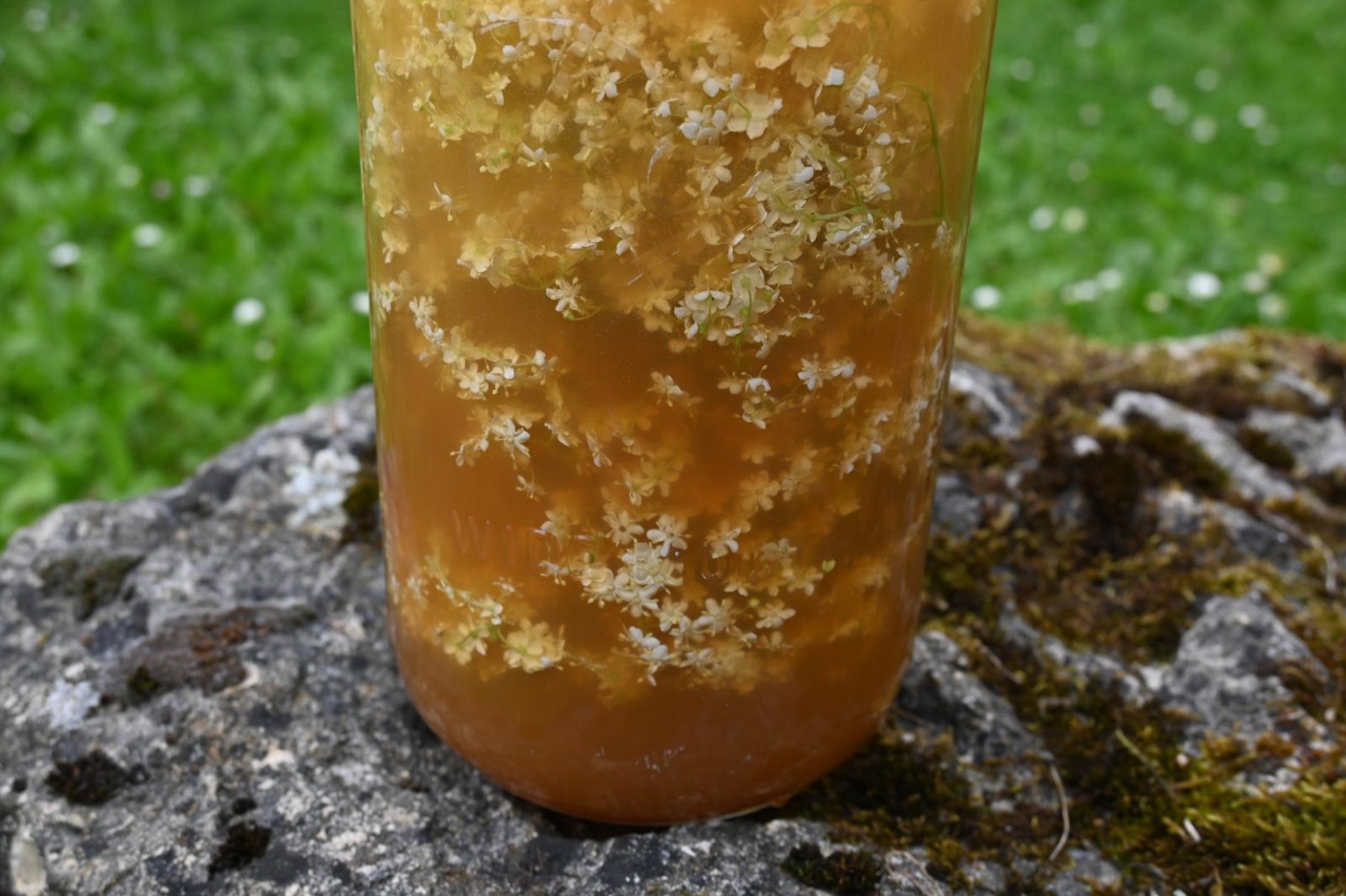 Apfel-Holunderblüten-Gelée – Utas Glück