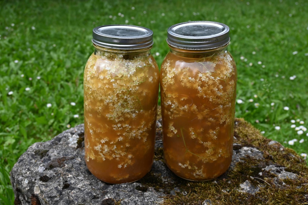 Apfel-Holunderblüten-Gelée – Utas Glück