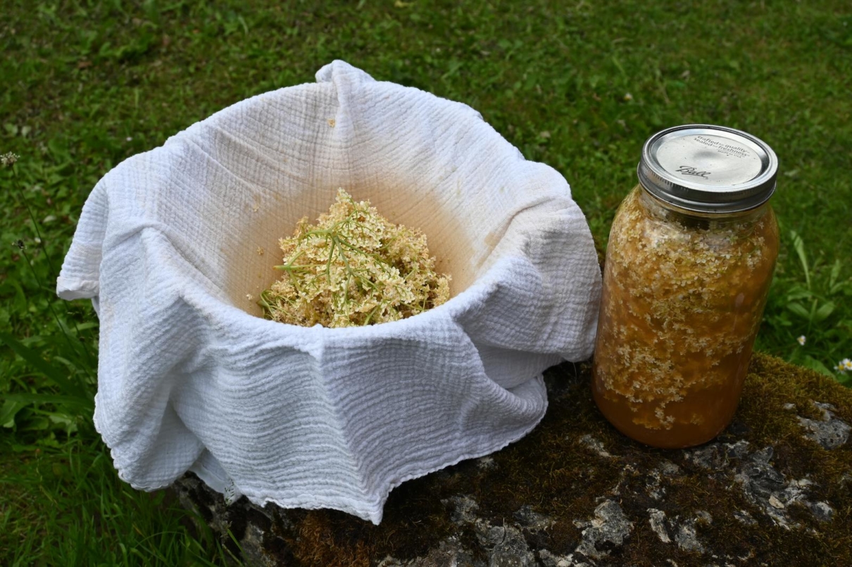 Apfel-Holunderblüten-Gelée – Utas Glück