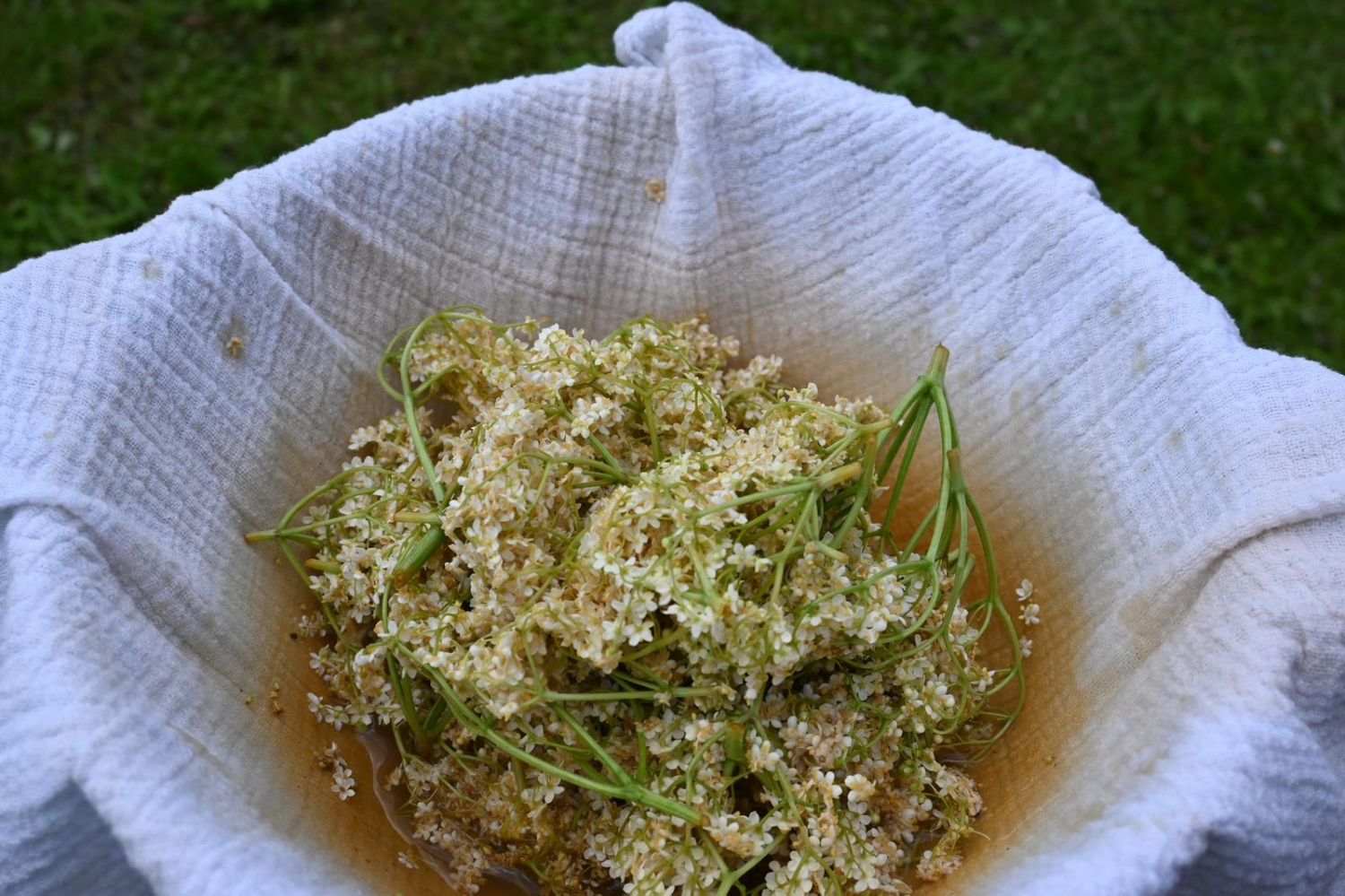 Apfel-Holunderblüten-Gelée – Utas Glück