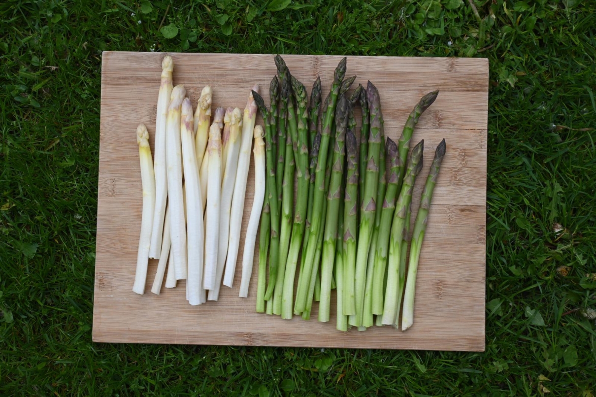 Vegane Spargelquiche – Utas Glück