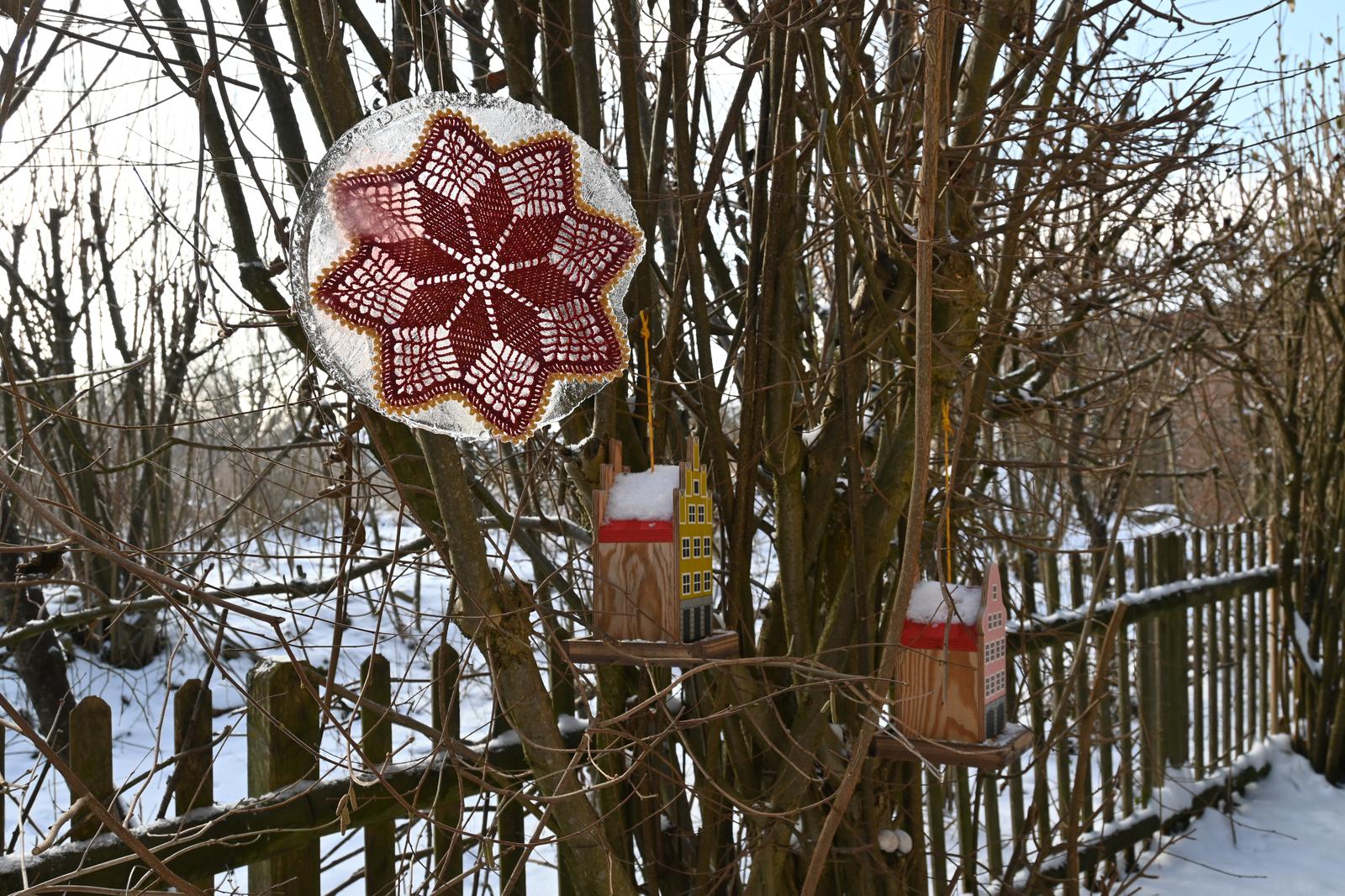 20260107_123951_NIKONZ50_00132_1600