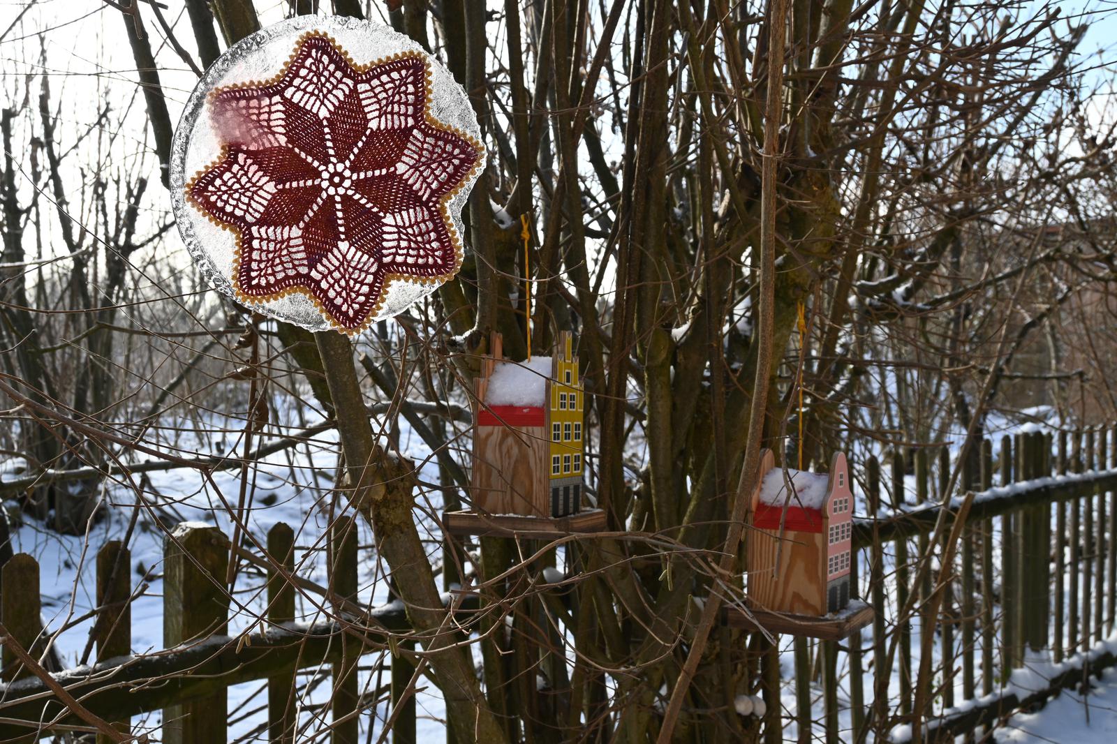 20260107_124324_NIKONZ50_00139_1600