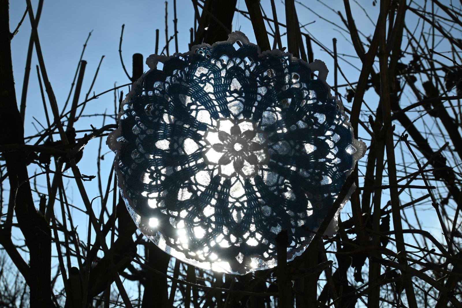 20260107_141630_NIKONZ50_00142_1600