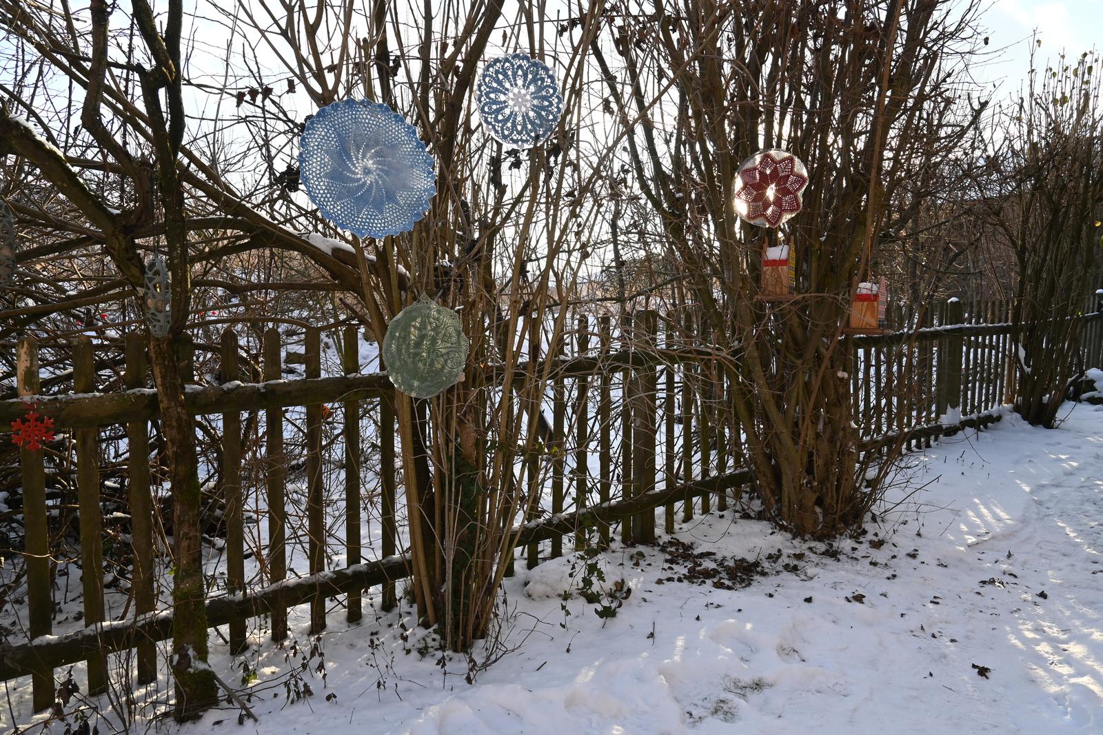 20260107_162944_NIKONZ50_00150_1600