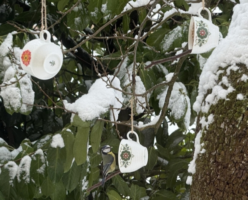 Basteln mit Kindern|Futtertassen|Mit Vogelfutter gefüllte Tassen|Vögel füttern|Vogelfutter|Wildvögel|Winter-DIY|Winterglück|Winterwerkstatt|Glückswerkstatt|Upcycling|Upcycling-Ideen|Upcycling-Vogelfutterstation|Vogelfutterstation|Vogelfuttertassen|Tassen-Upcycling|Retro-Tassen|Vintage-Tassen|Utas Glück|utas_glueck|Vogelfutter-Tassen