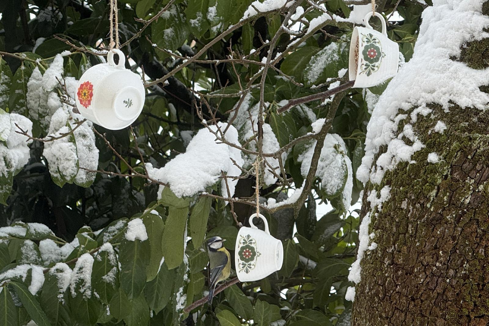 Basteln mit Kindern|Futtertassen|Mit Vogelfutter gefüllte Tassen|Vögel füttern|Vogelfutter|Wildvögel|Winter-DIY|Winterglück|Winterwerkstatt|Glückswerkstatt|Upcycling|Upcycling-Ideen|Upcycling-Vogelfutterstation|Vogelfutterstation|Vogelfuttertassen|Tassen-Upcycling|Retro-Tassen|Vintage-Tassen|Utas Glück|utas_glueck|Vogelfutter-Tassen